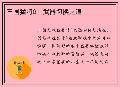 三国猛将6：武器切换之道